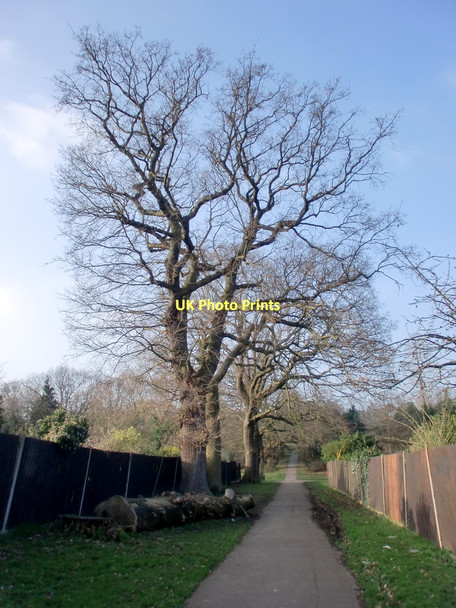 Photo 6"x4" Footpath to Oakwood Park, London N14 Southgate\/TQ3094 c2011