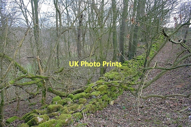 Photo 6"x4" Stone Wall, Wy Dale Snainton c2011