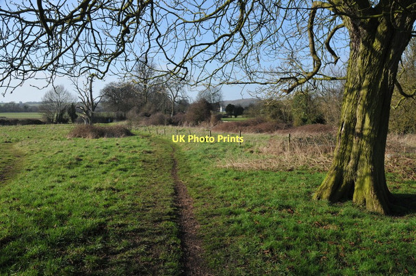 Photo 6"x4" Clopton Park Stratford-upon-Avon c2011