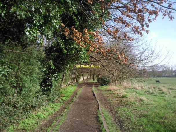 Photo 6"x4" Footpath on Tooting Bec Common Streatham c2011