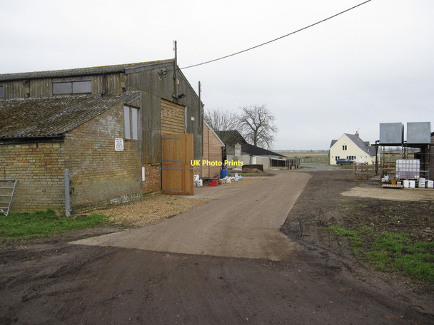 Photo 6"x4" Common Farm Coveney c2011