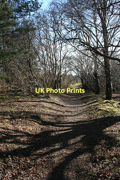 Photo 6"x4" Riverside Path Forres c2011