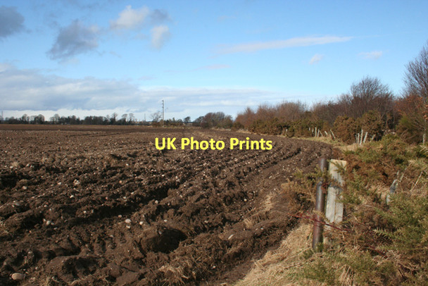 Photo 6"x4" Near Broom of Moy Forres c2011