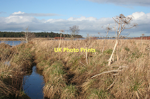 Photo 6"x4" Findhorn Bay Kintessack c2011