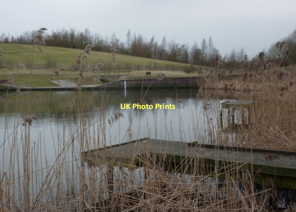 Photo 6"x4" Lake, Williamthorpe Ponds Nature Reserve Heath\/SK4466 c2011