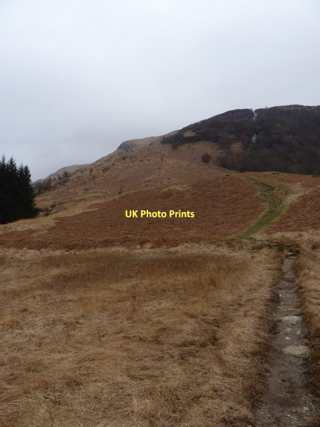 Photo 6"x4" The path towards Ptarmigan Rowardennan c2011