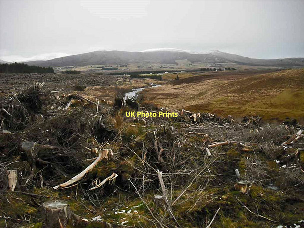 Photo 6"x4" Forestry clear fell Peiness c2011