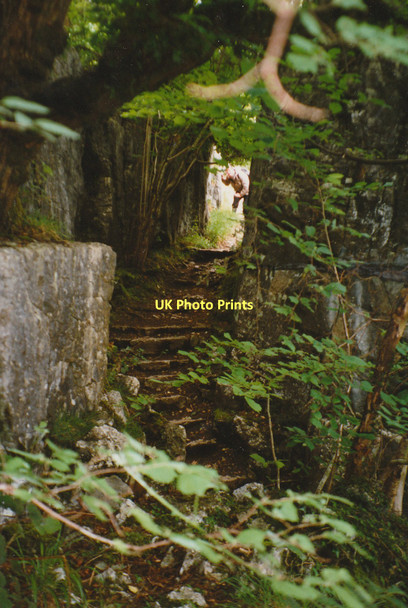 Photo 6"x4" Public footpath in Underlaid Wood South Lakeland Carr Bank c1997