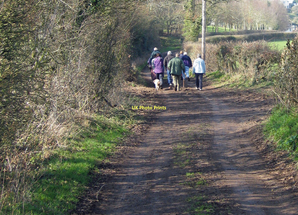 Photo 6"x4" Track from Darnell's Farm Linton Hill\/SO6624 c2011