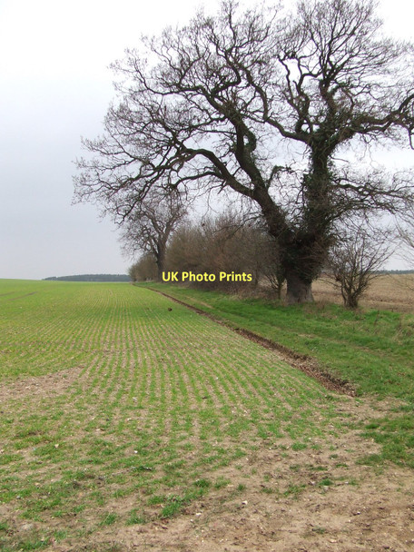 Photo 6"x4" Restricted Byway Fen Street\/TL9879 c2011 P1