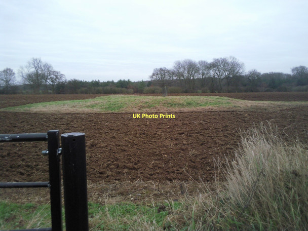 Photo 6"x4" Langley Bush Upton\/TF1000 c2011