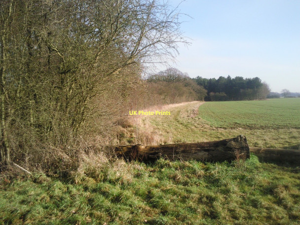 Photo 6"x4" Footpath east of Helpston Road Marholm c2011