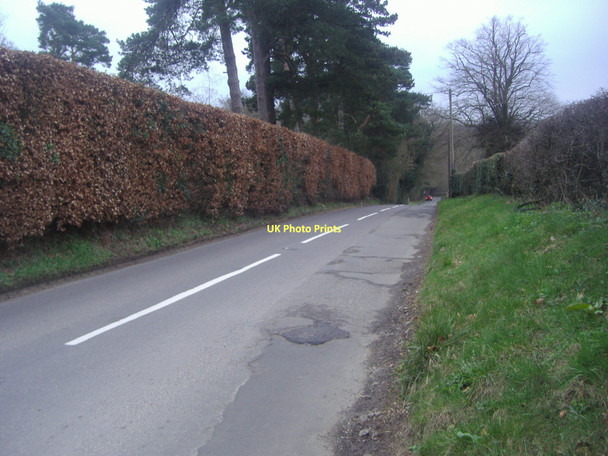 Photo 6"x4" Hollow Lane, Wotton Wotton\/TQ1247 c2011