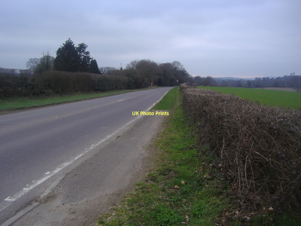 Photo 6"x4" The A25 looking towards Abinger, Wotton Wotton\/TQ1247 c2011