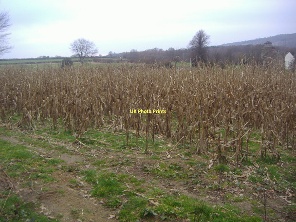 Photo 6"x4" Fields by A25, Wotton Wotton\/TQ1247 c2011