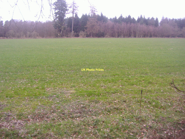 Photo 6"x4" Field by Combe Lane, Combe Bottom Shere c2011