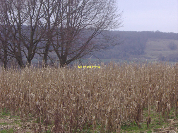 Photo 6"x4" Fields and North Downs by A25, Wotton Wotton\/TQ1247 c2011