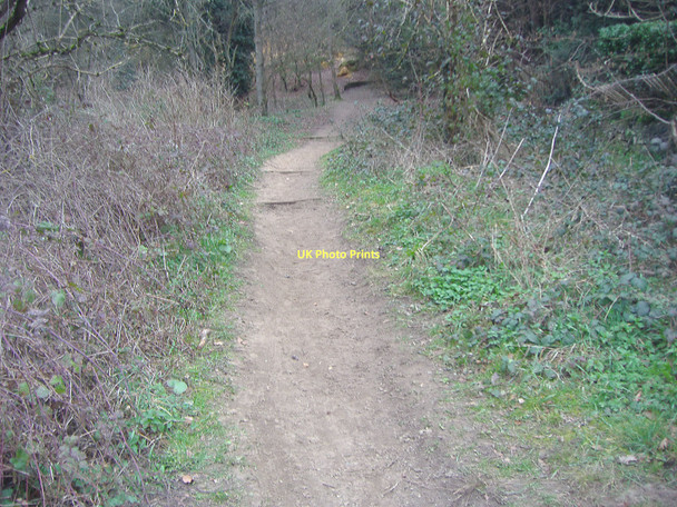Photo 6"x4" Footpath through Westcott Heath Westcott\/TQ1448 c2011