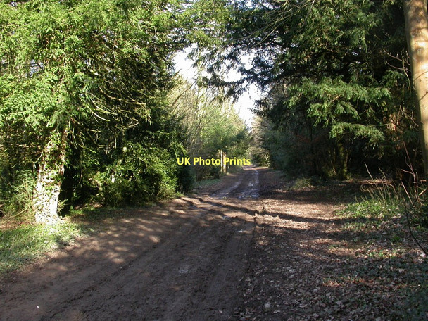 Photo 6"x4" Badminton, Bath Verge Badminton c2011