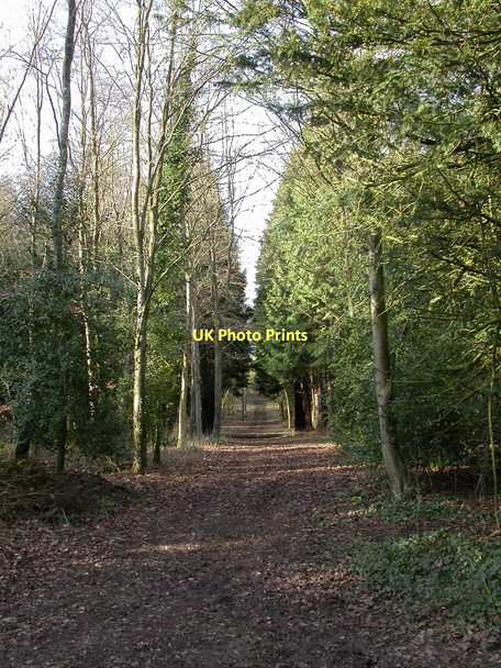 Photo 6"x4" Badminton, The Tyning Badminton c2011