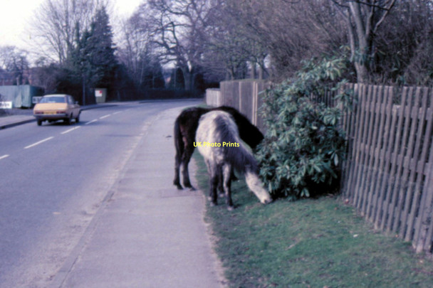 Photo 6"x4" Brockenhurst - 1987 Brockenhurst c1987