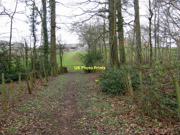 Photo 6"x4" Track through woodland Shaw Common c2011