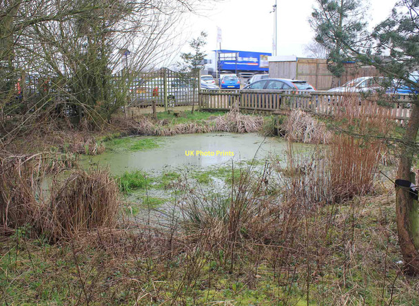 Photo 6"x4" Small pond by footpath near Hollow Farm Higham on the Hill c2011