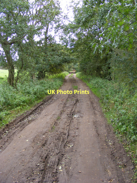Photo 6"x4" Farm track and footpath on the marshes near Earsham Bungay c2010
