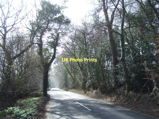 Photo 6"x4" B3180 on Rockbeare Hill West Hill\/SY0694 c2011