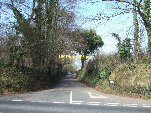 Photo 6"x4" Oak Road from Tipton Cross Higher Metcombe c2011