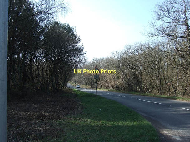 Photo 6"x4" B3180 south of Aylesbeare Hill Higher Metcombe c2011