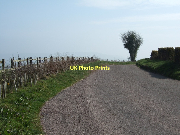 Photo 6"x4" Minor road and new hedge Higher Metcombe c2011