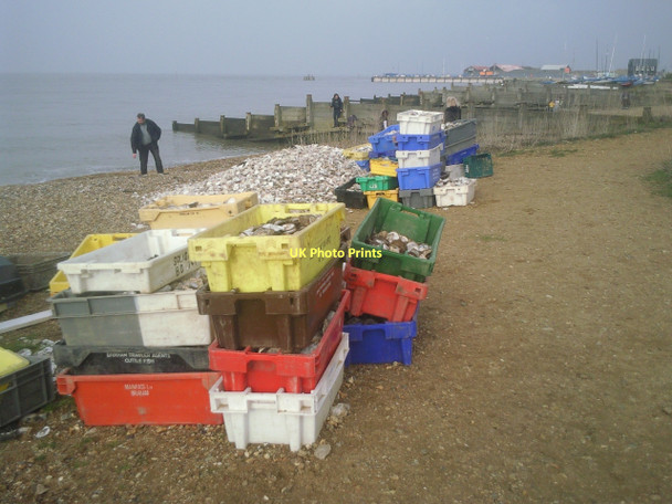 Photo 6"x4" Empty oyster shells at Whitstable Whitstable c2011