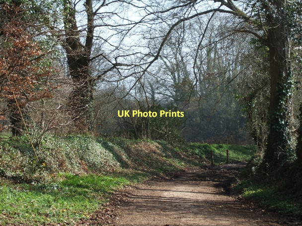 Photo 6"x4" Track near Southerton (bridleway) Southerton c2011
