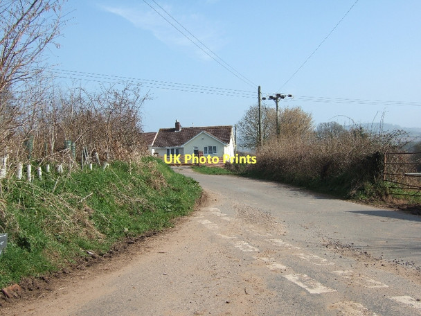 Photo 6"x4" Road to Venn Ottery from Southerton Harpford c2011