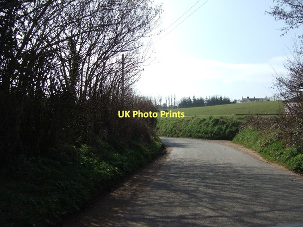Photo 6"x4" Road from Southerton to Newton Poppleford Harpford c2011