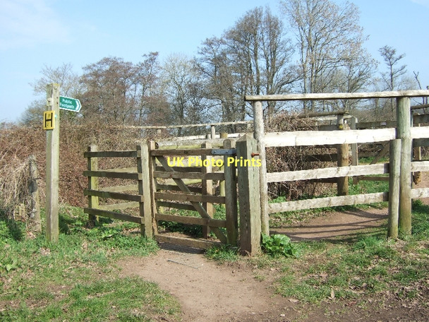 Photo 6"x4" Footpath beside the River Otter Harpford c2011