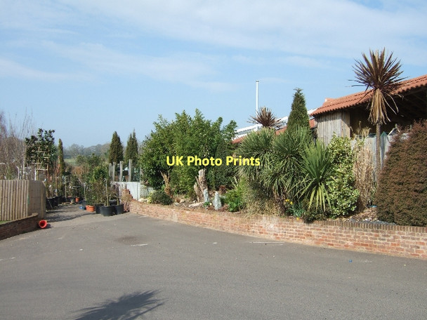 Photo 6"x4" Sidmouth Garden Centre Sidmouth c2011