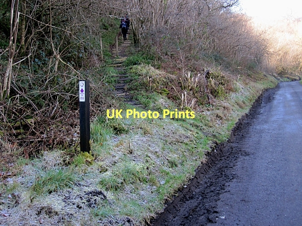 Photo 6"x4" Woodland Steps Cullahill c2011