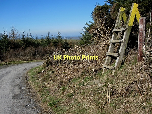 Photo 6"x4" Wooden Stile Cullahill c2011