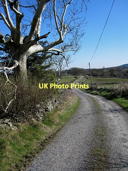 Photo 6"x4" Country Road Cullahill c2011