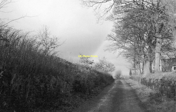 Photo 6"x4" Lane at Great Oak Farm Bank Top\/SD7212 c2010