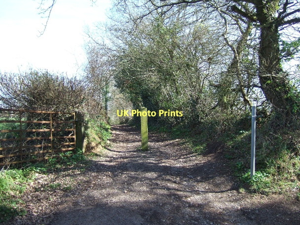 Photo 6"x4" Bridleway on Beacon Hill Pinhoe c2011