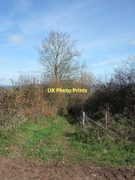 Photo 6"x4" On Beacon Hill, Dandy Lane to Poltimore Pinhoe c2011