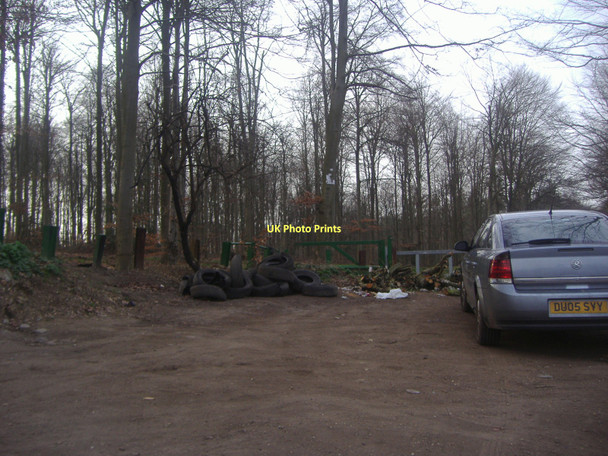 Photo 6"x4" Entrance to Potterscrouch Plantation Bedmond c2011