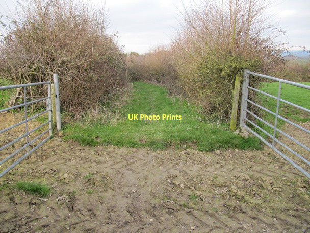 Photo 6"x4" Gates either side Glastonbury c2011
