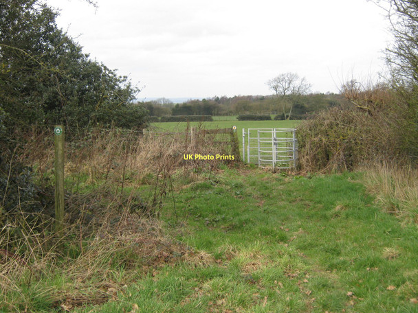 Photo 6"x4" Near Kinwalsey Chapel Green\/SP2685 c2011