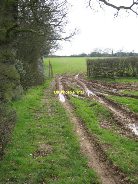 Photo 6"x4" Muddy fields Chapel Green\/SP2685 c2011