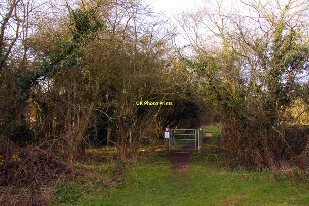 Photo 6"x4" Gate to Lashford Lane Fen Bessels Leigh c2011
