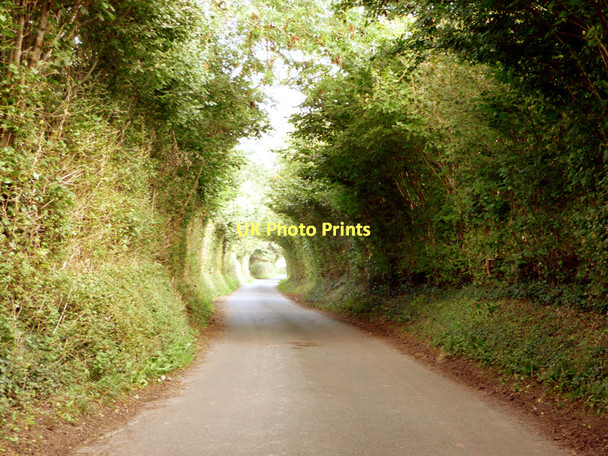 Photo 6"x4" Chelvey Lane Nailsea c2008